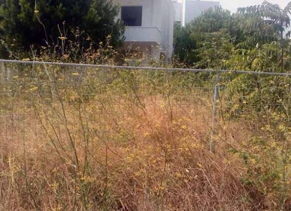 Τέλος χρόνου για τα ακαθάριστα οικόπεδα: Από αύριο οι έλεγχοι