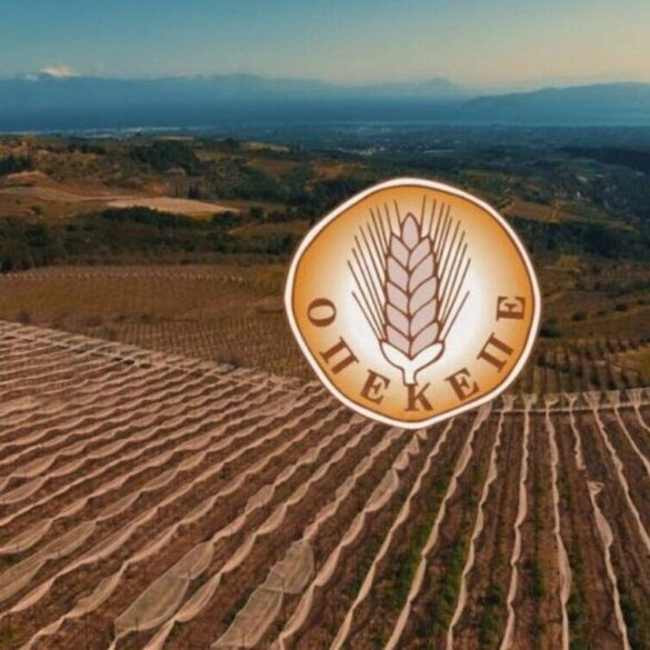 ΟΠΕΚΕΠΕ: Υπέβαλε την παραίτησή του ο πρόεδρος – Αποδεκτή από τον Αυγενάκη