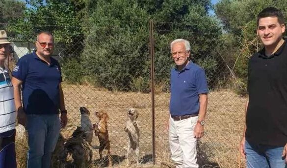 Ώρα Πατρών: Σφυρίζει αδιαφορία για το καταφύγιο αδέσποτων ζώων