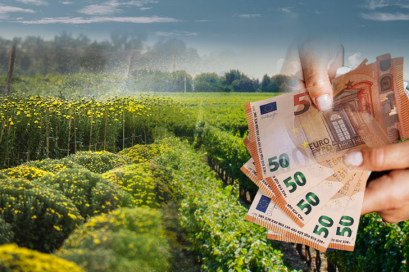 ΚΑΠ: Πώς δεν θα χάσετε το 25% των αγροτικών ενισχύσεων