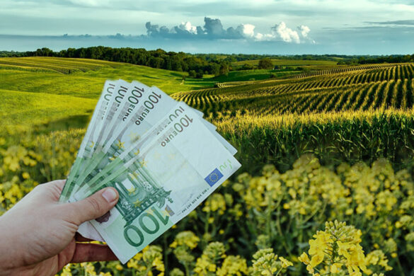 ΕΛΓΑ: Σε διαβούλευση ο νέος κανονισμός – Οι πιο σημαντικές αλλαγές