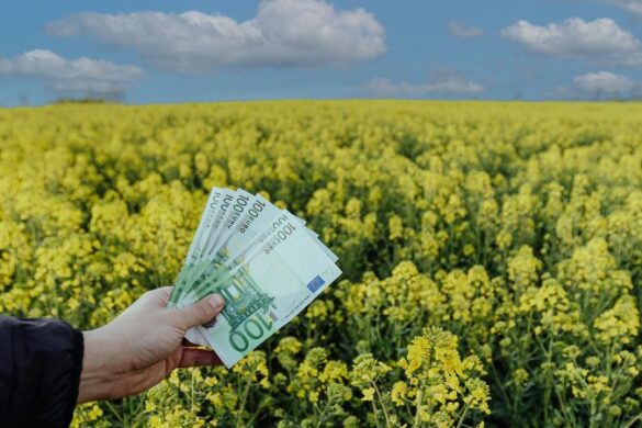 ΕΛΣΤΑΤ: Παραμένουν αυξημένες οι τιμές αγροτικών προϊόντων