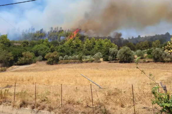 Ηλεία: Φωτιά ξέσπασε στην περιοχή Ανάληψη