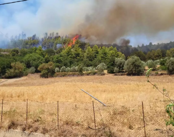 Ηλεία: Φωτιά ξέσπασε στην περιοχή Ανάληψη