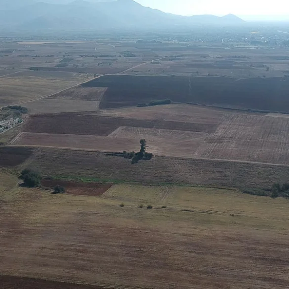 Αναστολή πράξεων αναγκαστικής εκτέλεσης για 1 έτος για πληγέντες από τις πυρκαγιές του καλοκαιριού 2025