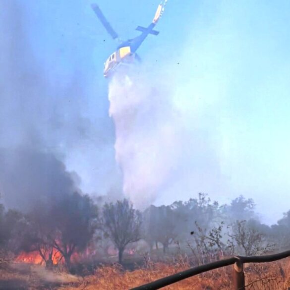 Φωτιά στο Λαύριο: 112 για εκκένωση, ενισχύονται συνεχώς οι δυνάμεις της Πυροσβεστικής