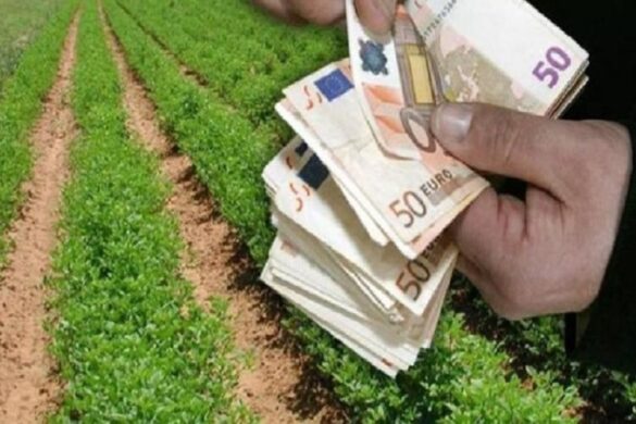 ΟΠΕΚΕΠΕ: Πληρωμές ύψους 20,6 εκατ. ευρώ