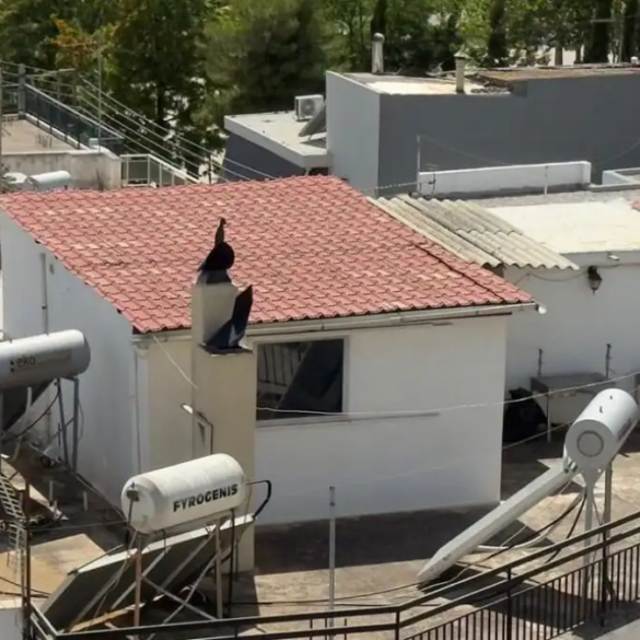 Περιστέρι: Καταδικάστηκαν οι γονείς των έξι παιδιών που ζούσαν σε τρώγλη