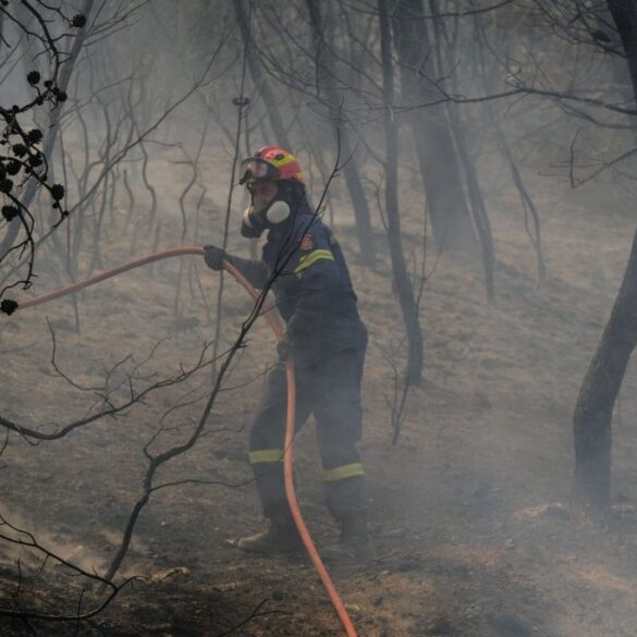 Φωτιά: Περισσότερα από 400.000 στρέμματα κάηκαν μέσα σε 3 ημέρες στην Ελλάδα