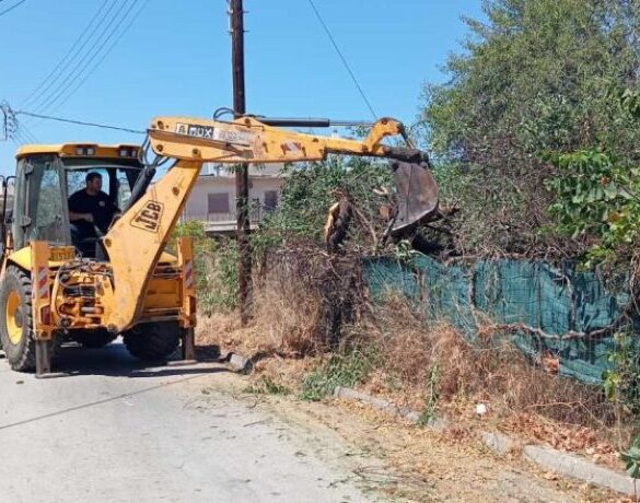 Δήμος Δυτικής Αχαΐας: Συνεχείς καθαρισμοί της βλάστησης στο οδικό δίκτυο