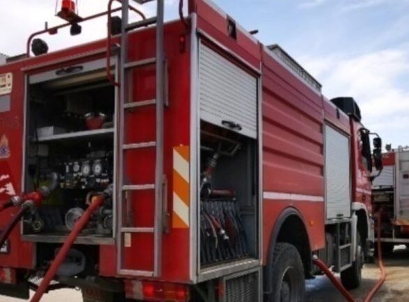 Φωτιά σε δασική έκταση στη Θεσσαλονίκη: Επιχειρούν και εναέρια μέσα