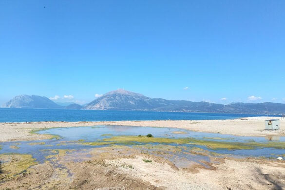 ΟΙΚΙΠΑ σε Δήμο Πατρέων: «Μην μετατρέπετε το πλατανόδασος του Χαράδρου από φυσικό άλσος σε τεχνητό «πάρκο»!»