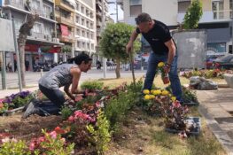 Πάτρα: Νέα λουλούδια στις πλατείες Πίνδου και Μαρκάτου