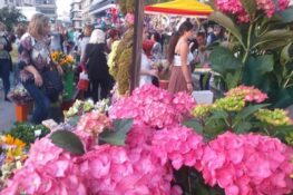 Πάτρα: Ξεκινούν οι αιτήσεις για την εμποροπανήγυρη της Πρωτομαγιάς