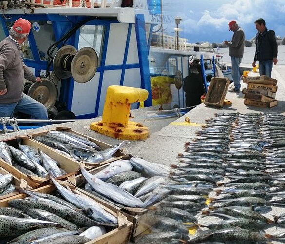 Μάγγος: Εκτός αρμοδιότητας του υπουργείου Ναυτιλίας τα βασικά αιτήματα των ψαράδων
