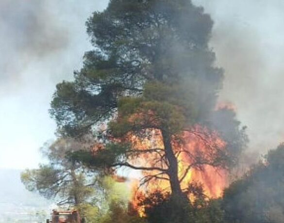 Εκτός ελέγχου οι δασικές πυρκαγιές σε Γαλλία και Ισπανία
