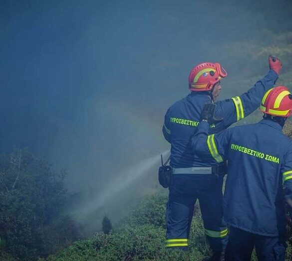 Ασπρόπυργος: Πυροσβέστες καταγγέλλουν επίθεση από Ρομά ενώ έσβηναν φωτιά