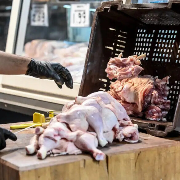 Συναγερμός από τα κρούσματα σαλμονέλας – Πιθανή η μόλυνση από κοτόπουλο