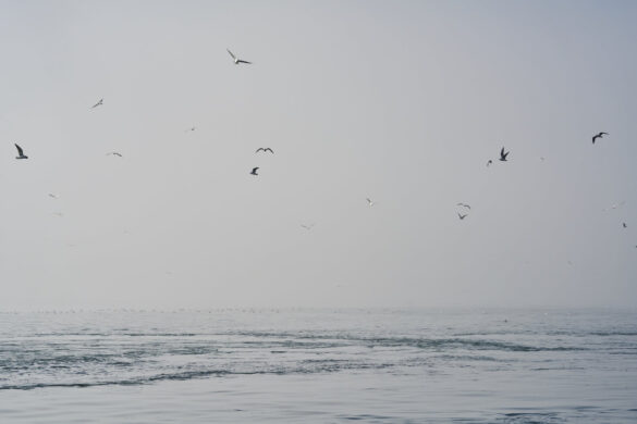 Ξεκίνησαν δειγματοληψίες για την καταλληλότητα θαλασσίων υδάτων – ακτών κολύμβησης στην ΠΕ Αιτωλοακαρνανίας