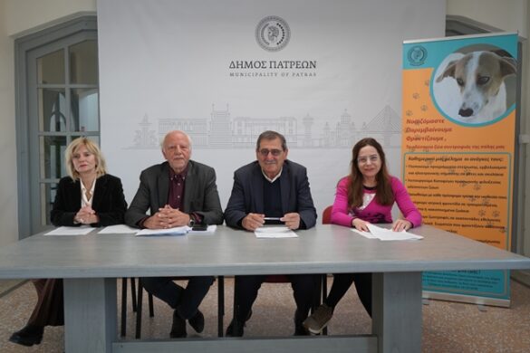 Την Κυριακή η γιορτή των αδέσποτων στην Πλαζ