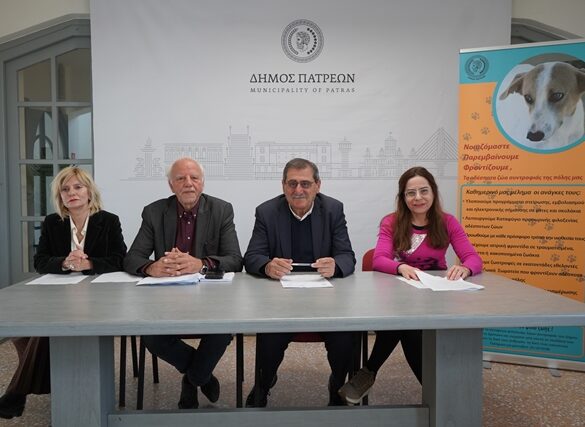 Πάτρα: Πικρές αλήθειες για τα αδέσποτα
