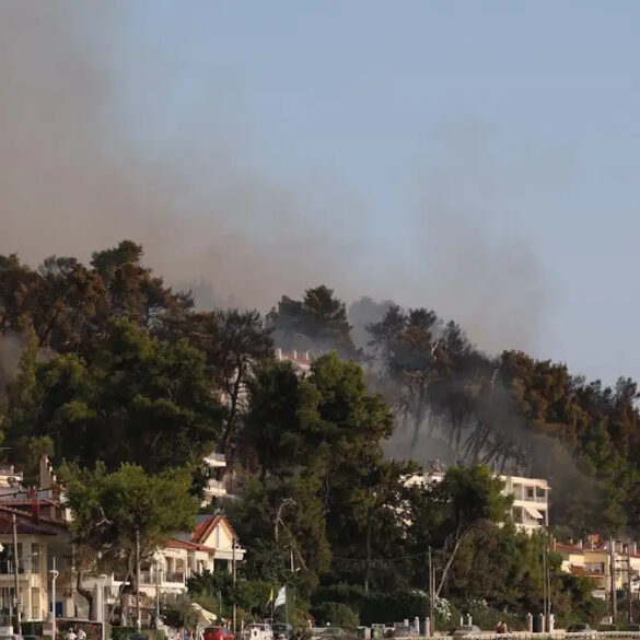 Μέχρι 12 Οκτωβρίου οι αιτήσεις από επιχειρήσεις της Χαλκιδικής που επλήγησαν από την πυρκαγιά