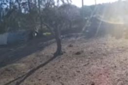 Δυτική Ελλάδα: Θρασύτατη διάρρηξη υπό το φως της ημέρας – Έκλεψαν εργαλεία δουλειάς