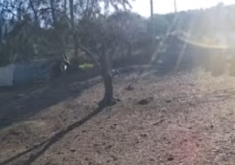 Δυτική Ελλάδα: Θρασύτατη διάρρηξη υπό το φως της ημέρας – Έκλεψαν εργαλεία δουλειάς