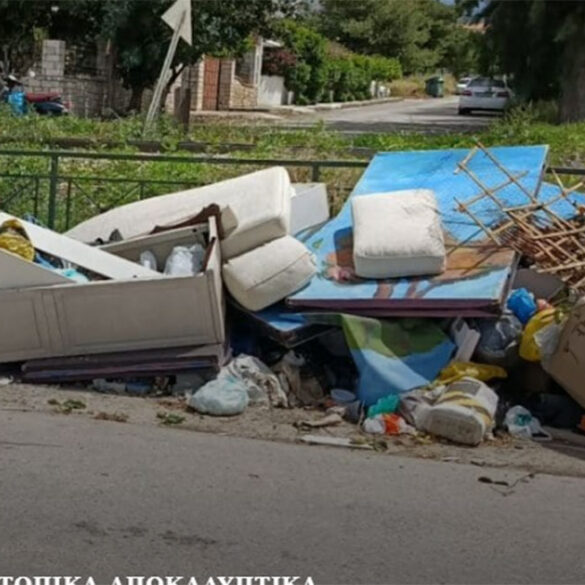Πάτρα: Κάνουν “πάρτι” οι αρουραίοι στoυς κάδους 