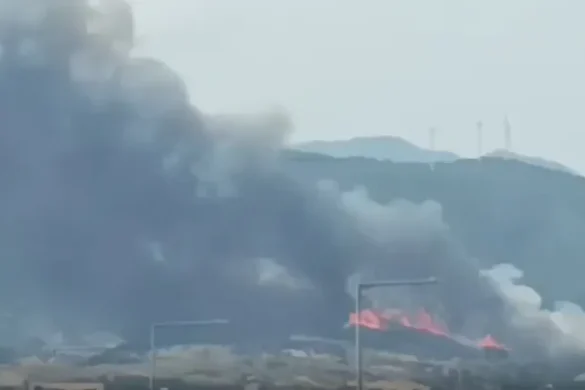 Δυτ. Ελλάδα: Φωτιά στον Πλατανίτη