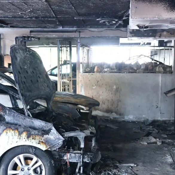 Ραγδαίες εξελίξεις: Τρεις συλλήψεις για τη δολοφονία της Βάγιας Νέστορα