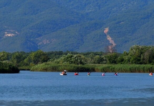 Thessaly Evros Pass 2026: Άνοιξε η πλατφόρμα για την υποβολή αιτήσεων
