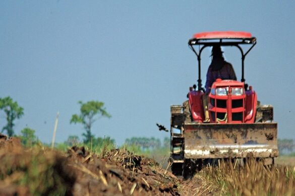 Αγροτικό πετρέλαιο: Πρωταπριλιά η επιστροφή του ΕΦΚ