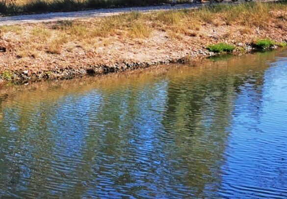 Η ρύπανση από τα φάρμακα απειλεί πολλά ποτάμια της Γης, αποκαλύπτει έρευνα