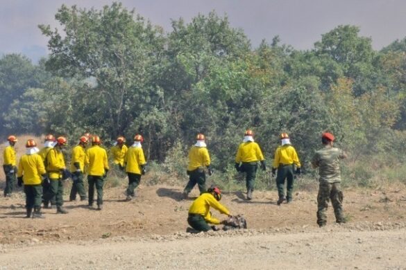 Πάτρα: Σε επιφυλακή η πολιτική προστασία του Δήμου λόγω υψηλού κινδύνου πυρκαγιάς