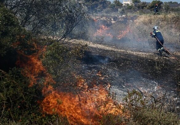 Συνεχίζεται η επιχείρηση κατάσβεσης της πυρκαγιάς στη Λύρα Σουφλίου