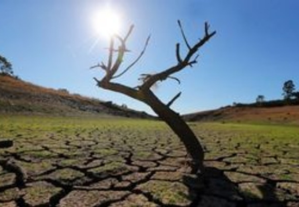 ΕΕ: Σχεδόν τα δύο τρίτα της Ευρώπης αντιμέτωπα με την ξηρασία ή με κίνδυνο ξηρασίας