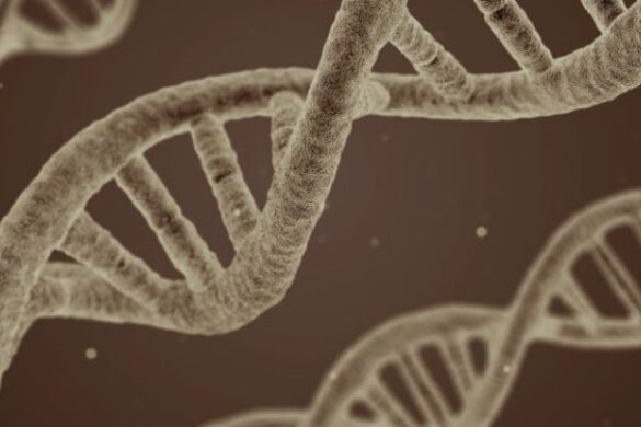 Το αρχαίο DNA ρίχνει περισσότερο φως στην ιστορία, σύμφωνα με τρεις νέες μελέτες