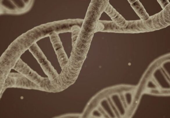 Το αρχαίο DNA ρίχνει περισσότερο φως στην ιστορία, σύμφωνα με τρεις νέες μελέτες