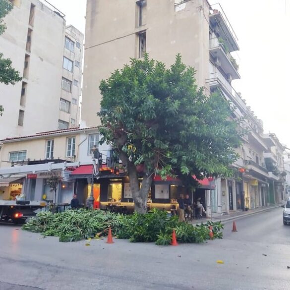 Πάτρα: Κλαδεύουν τα δένδρα στην οδό Μαιζώνος