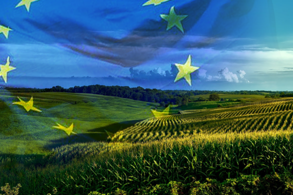 ΕΕ: Ποιοι κατέχουν τη μερίδα του λέοντος στην αγροτική παραγωγή
