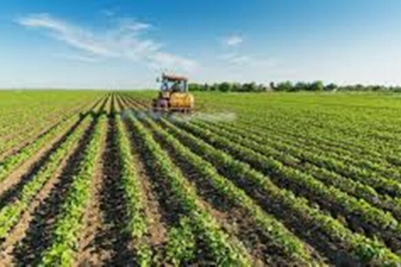 ΟΠΕΚΕΠΕ: Ψηφιοποίηση αγροτεμαχίων με νέες ορθοεικόνες – Ποιες περιοχές αφορά