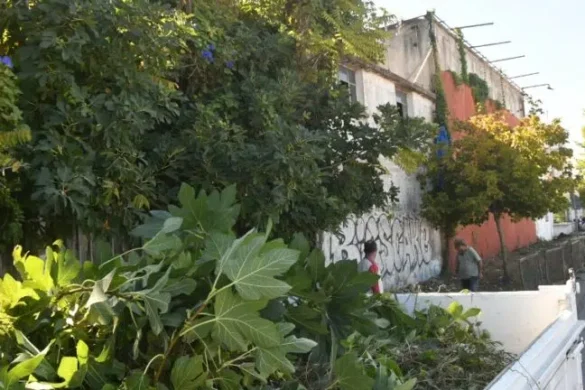 Πάτρα: Συνεχίζεται ο καθαρισμός και η ανακατασκευή των πεζοδρομίων στην Ακτή Δυμαίων