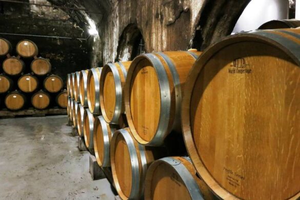 Άγιο Όρος: Ένας Master of Wine δοκιμάζει τα κρασιά του πατέρα Επιφάνιου