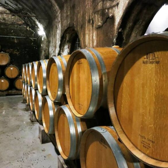 Άγιο Όρος: Ένας Master of Wine δοκιμάζει τα κρασιά του πατέρα Επιφάνιου