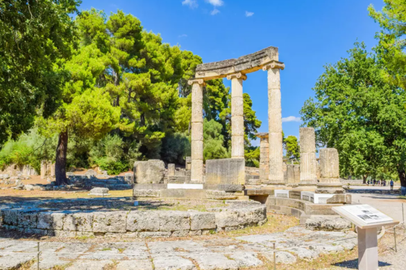 ΔΕΗ: Δωρεά 450.000 € για την αγορά 80.000 δενδρυλλίων ελιάς στην Αρχαία Ολυμπία
