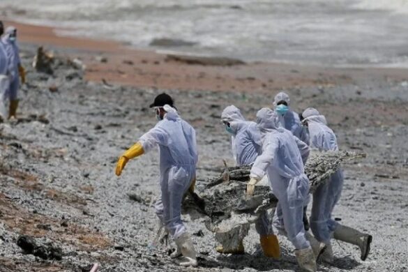 Κίνα: Επιστήμονες κατασκεύασαν ένα ρομποτικό ψάρι που θα ρουφάει μικροπλαστικά από τις θάλασσες