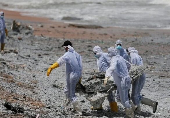 Κίνα: Επιστήμονες κατασκεύασαν ένα ρομποτικό ψάρι που θα ρουφάει μικροπλαστικά από τις θάλασσες