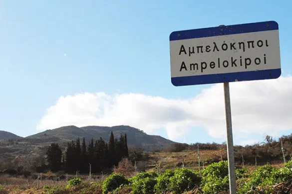 Αίγιο: Νεκρός στον κήπο του σπιτιού του βρέθηκε υπερήλικας στους Αμπελοκήπους