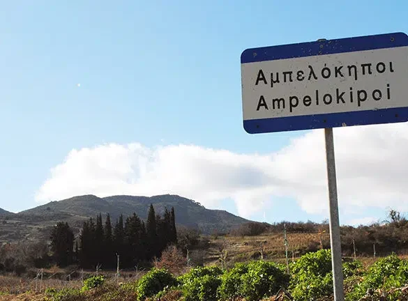 Αίγιο: Νεκρός στον κήπο του σπιτιού του βρέθηκε υπερήλικας στους Αμπελοκήπους